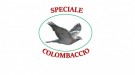 SPECIALE COLOMBACCIO