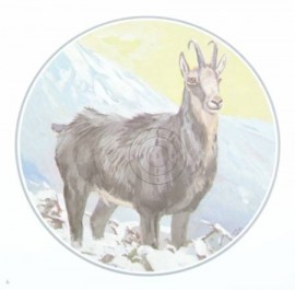  -  - ACCESSORI CACCIA, OUTDOOR & TIRO