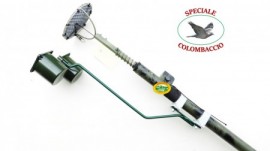  -  - SPECIALE COLOMBACCIO