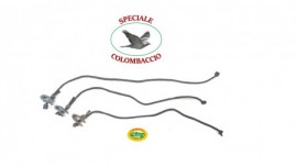  -  - SPECIALE COLOMBACCIO