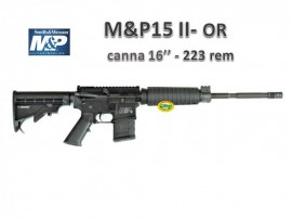  -  - ARMI LUNGHE CACCIA & TIRO