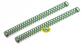  -  - ACCESSORI PER ARMI